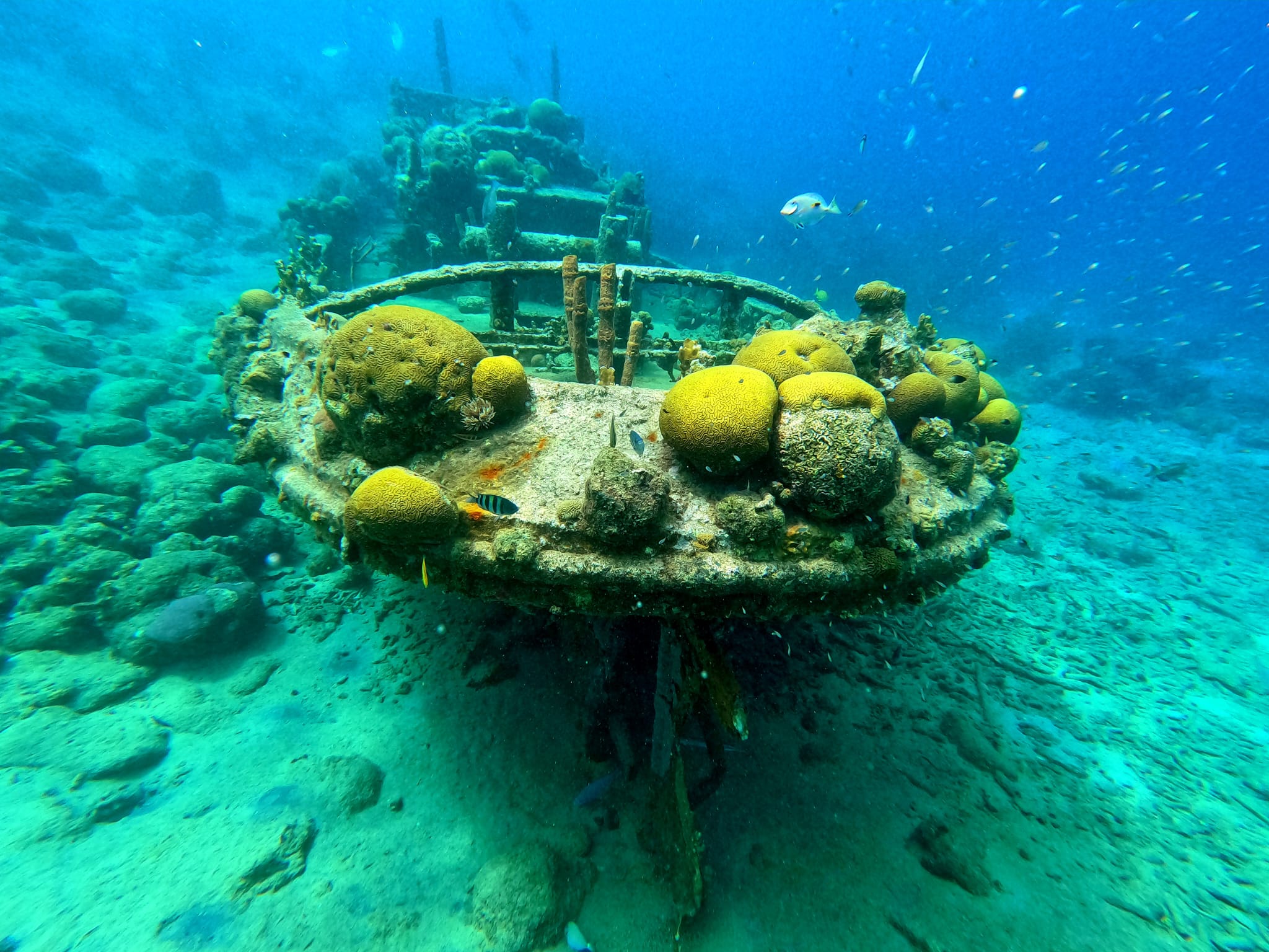 Vakantie - Curacao - reisblog - reistip